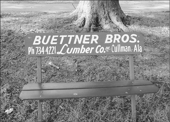 Иллюстрация к книге — Как я год жила по Библии [i_093.jpg]