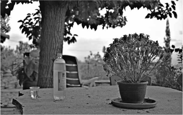 Иллюстрация к книге — О том, что есть в Греции [i_010.jpg]