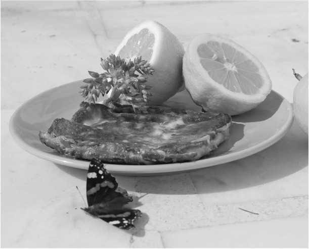 Иллюстрация к книге — О том, что есть в Греции [i_015.jpg]