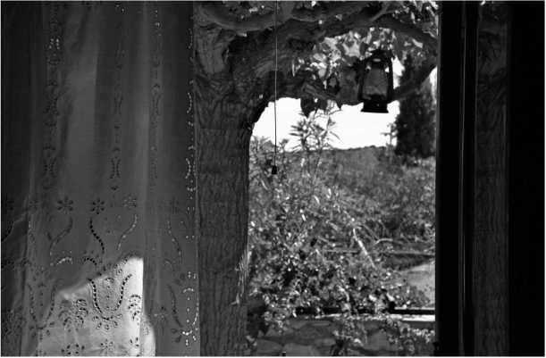 Иллюстрация к книге — О том, что есть в Греции [i_035.jpg]