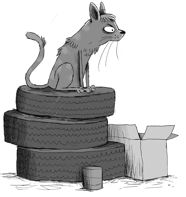 Иллюстрация к книге — Плюшевая тайна [i_002.jpg]