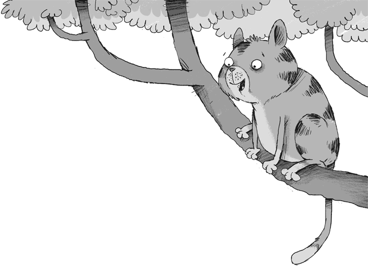 Иллюстрация к книге — Плюшевая тайна [i_006.jpg]