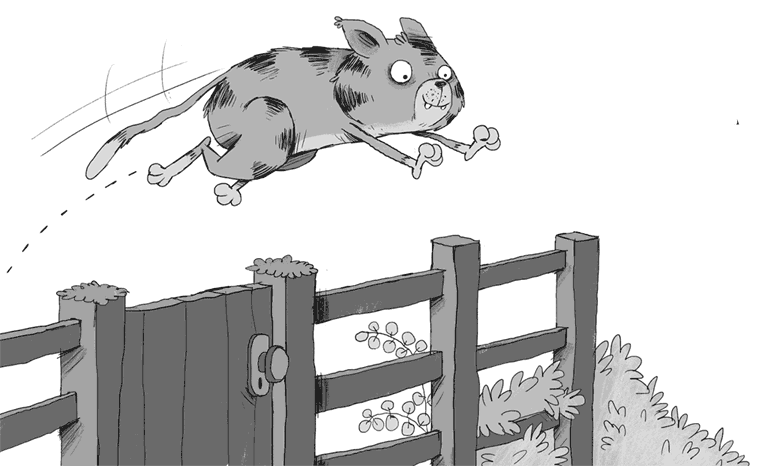 Иллюстрация к книге — Плюшевая тайна [i_007.jpg]