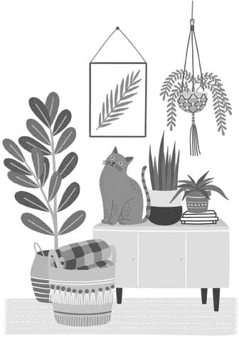 Иллюстрация к книге — Порядок снаружи, спокойствие внутри. Легкий путь к гармонии [i_016.jpg]