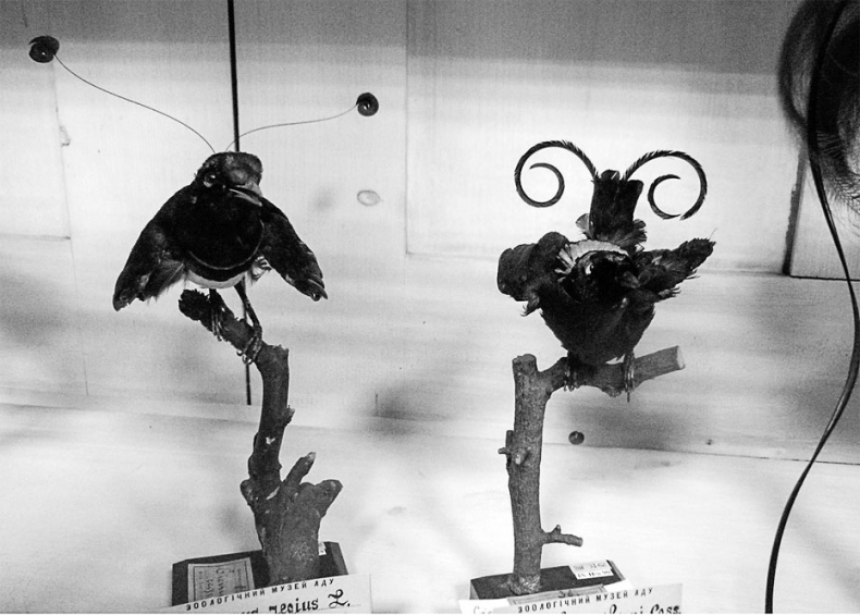 Иллюстрация к книге — Восточно-западная улица. Происхождение терминов ГЕНОЦИД и ПРЕСТУПЛЕНИЕ ПРОТИВ ЧЕЛОВЕЧЕСТВА [i_037.jpg]