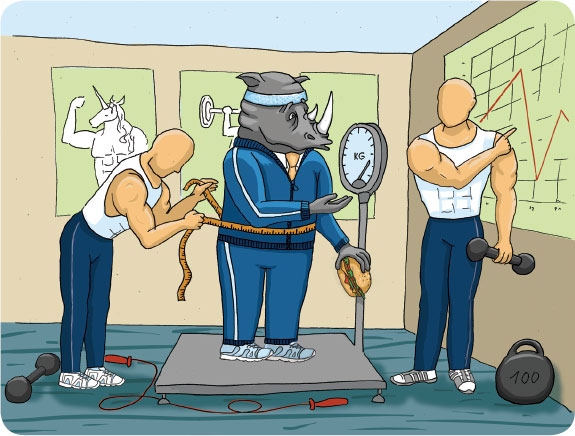 Иллюстрация к книге — От носорога к единорогу. Как провести компанию через трансформацию в цифровую эпоху и избежать смертельных ловушек [i_048.jpg]