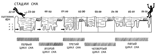 Иллюстрация к книге — Я не умею спать. Как самостоятельно выявить и устранить расстройства сна за 21 день [i_008.jpg]