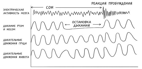 Иллюстрация к книге — Я не умею спать. Как самостоятельно выявить и устранить расстройства сна за 21 день [i_009.jpg]