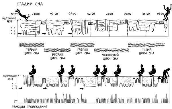 Иллюстрация к книге — Я не умею спать. Как самостоятельно выявить и устранить расстройства сна за 21 день [i_021.jpg]