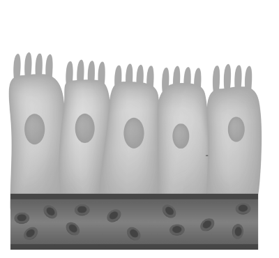 Иллюстрация к книге — Что скрывают противозачаточные. Как вернуть контроль над своими гормонами за 30 дней [i_006.jpg]