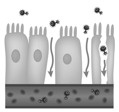 Иллюстрация к книге — Что скрывают противозачаточные. Как вернуть контроль над своими гормонами за 30 дней [i_007.jpg]