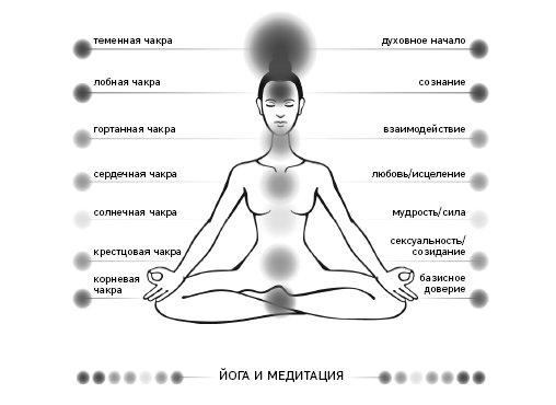 Иллюстрация к книге — Что скрывают противозачаточные. Как вернуть контроль над своими гормонами за 30 дней [i_011.jpg]