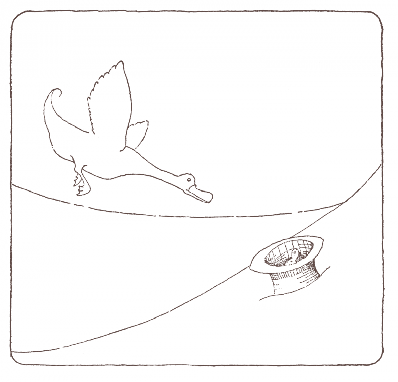 Иллюстрация к книге — История доктора Дулиттла [i_012.jpg]