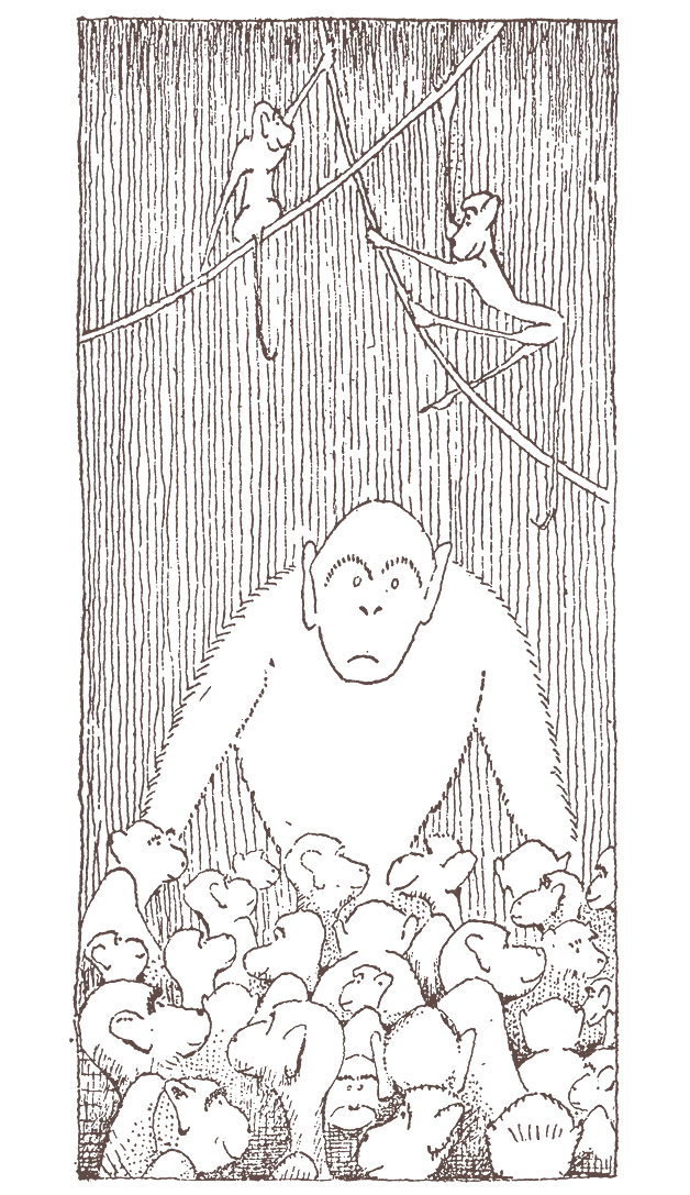 Иллюстрация к книге — История доктора Дулиттла [i_019.jpg]