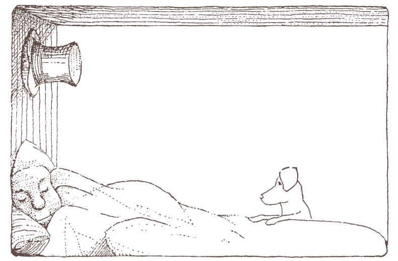 Иллюстрация к книге — История доктора Дулиттла [i_028.jpg]