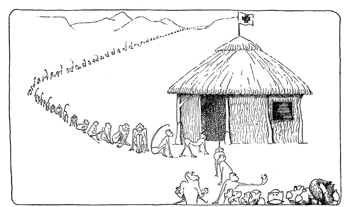 Иллюстрация к книге — Удивительное путешествие доктора Дулиттла [i_013.jpg]