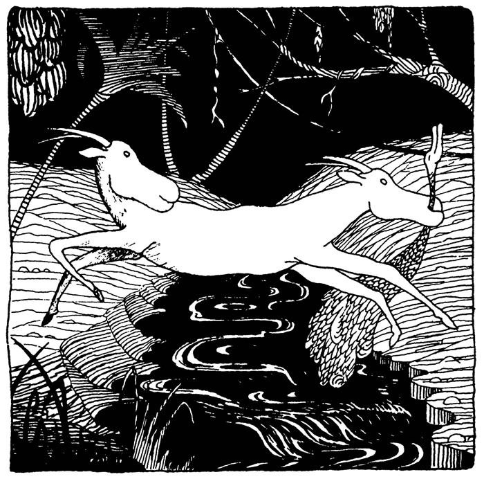 Иллюстрация к книге — Удивительное путешествие доктора Дулиттла [i_016.jpg]