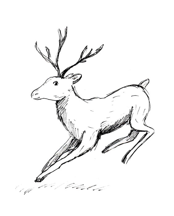 Иллюстрация к книге — Приключения Эммы. Хозяйка ветров [i_022.jpg]