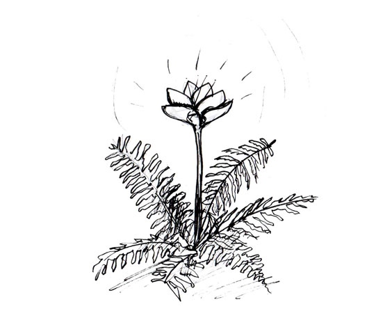 Иллюстрация к книге — Приключения Эммы. Хозяйка ветров [i_044.jpg]