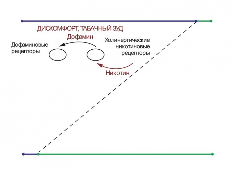 Иллюстрация к книге — Бросаем курить за два вечера. Как избавиться от зависимости, а не просто перестать покупать сигареты [i_005.jpg]