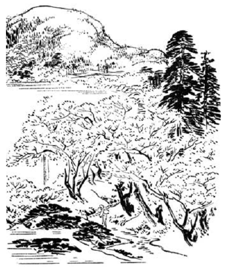 Иллюстрация к книге — Terra Nipponica [i_002.jpg]