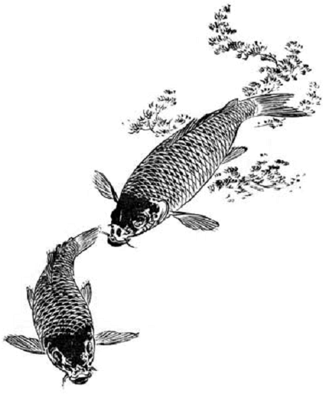 Иллюстрация к книге — Terra Nipponica [i_014.jpg]