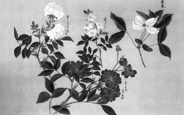 Иллюстрация к книге — Terra Nipponica [i_026.jpg]