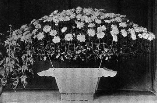 Иллюстрация к книге — Terra Nipponica [i_036.jpg]