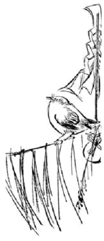 Иллюстрация к книге — Terra Nipponica [i_040.jpg]