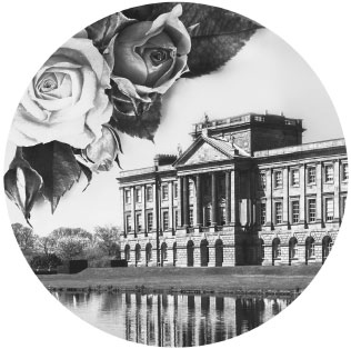 Иллюстрация к книге — Полуночная роза [i_001.jpg]