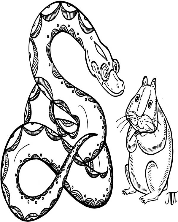 Иллюстрация к книге — В поисках волшебной таблетки. Научно-популярная сказка [i_003.jpg]