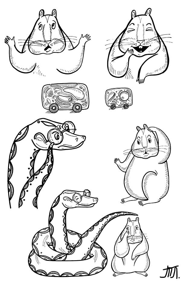 Иллюстрация к книге — В поисках волшебной таблетки. Научно-популярная сказка [i_005.jpg]