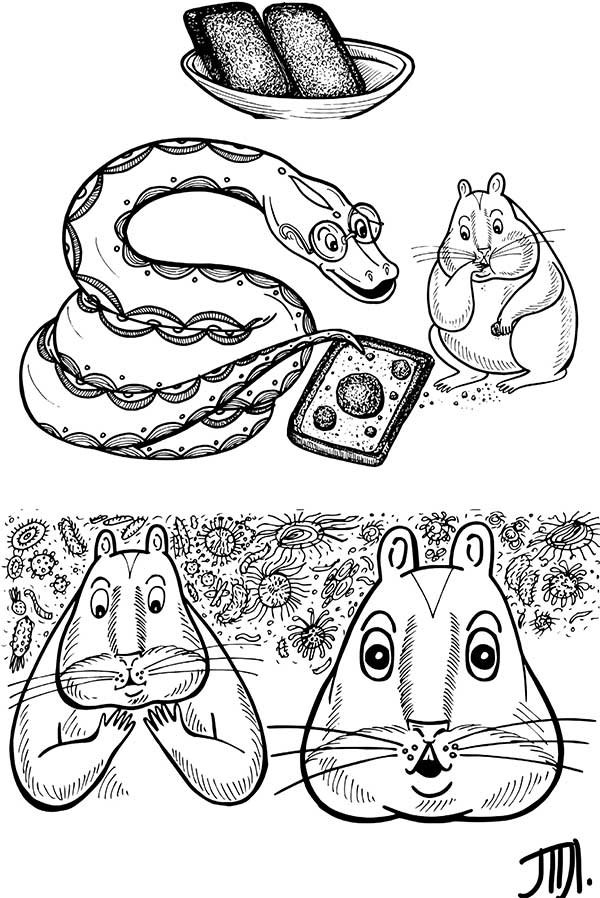 Иллюстрация к книге — В поисках волшебной таблетки. Научно-популярная сказка [i_006.jpg]