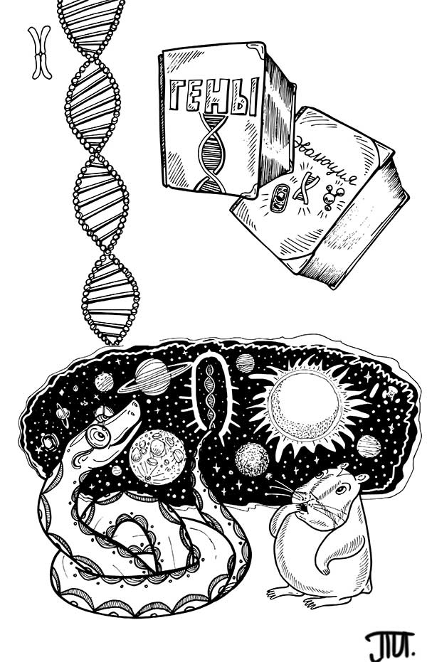 Иллюстрация к книге — В поисках волшебной таблетки. Научно-популярная сказка [i_007.jpg]