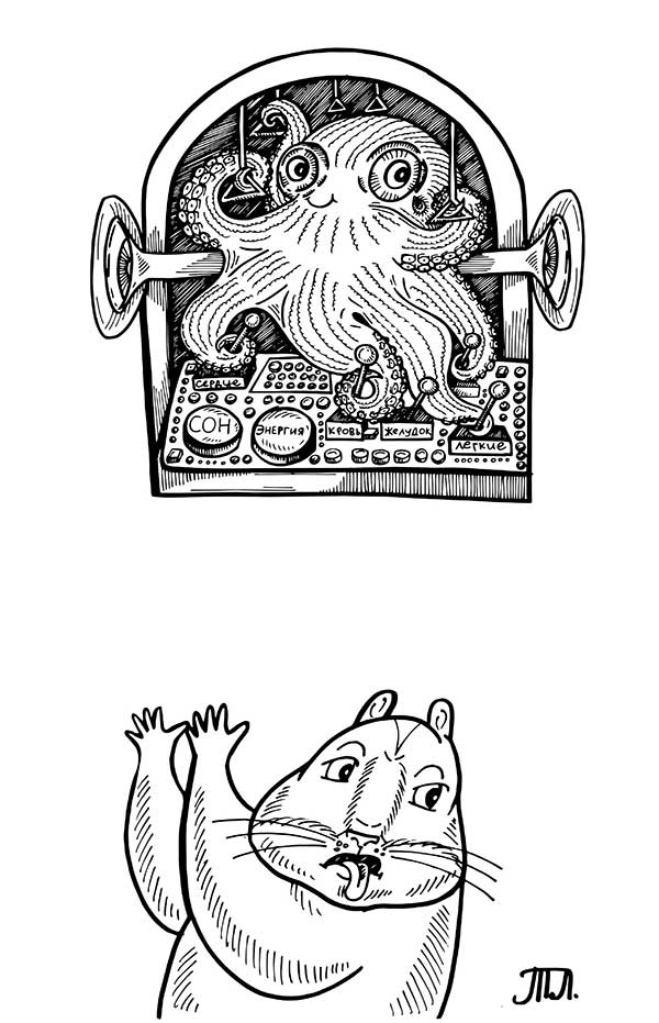 Иллюстрация к книге — В поисках волшебной таблетки. Научно-популярная сказка [i_009.jpg]