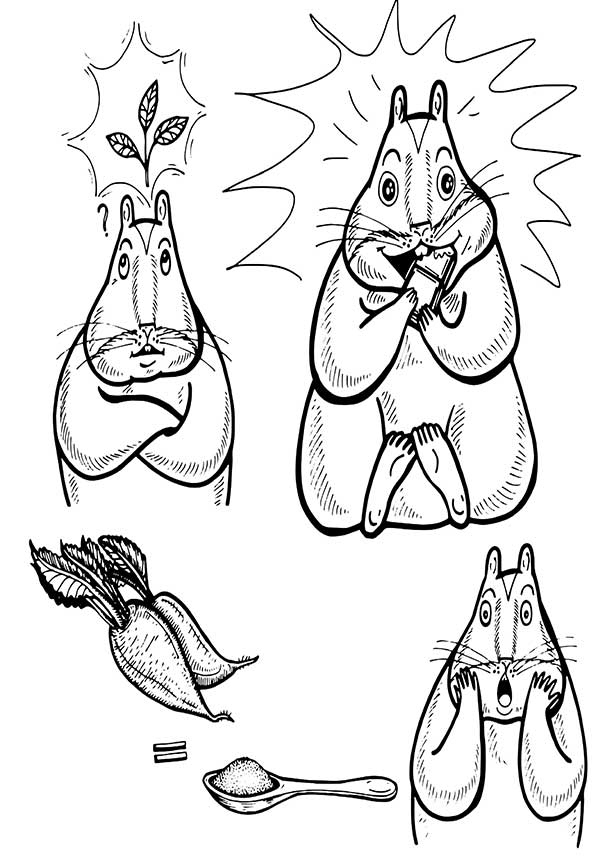 Иллюстрация к книге — В поисках волшебной таблетки. Научно-популярная сказка [i_016.jpg]