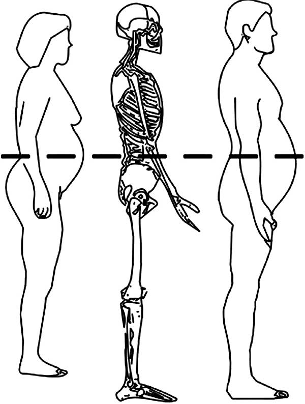 Иллюстрация к книге — В поисках волшебной таблетки. Научно-популярная сказка [i_020.jpg]