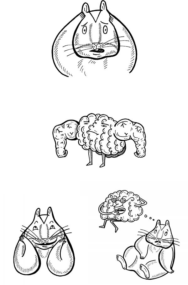 Иллюстрация к книге — В поисках волшебной таблетки. Научно-популярная сказка [i_030.jpg]