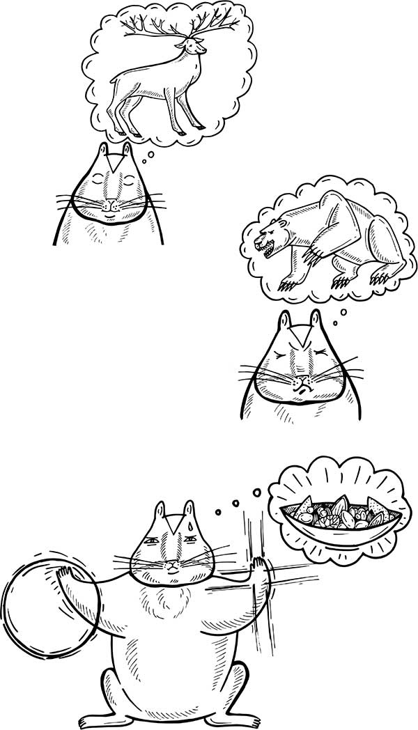 Иллюстрация к книге — В поисках волшебной таблетки. Научно-популярная сказка [i_032.jpg]