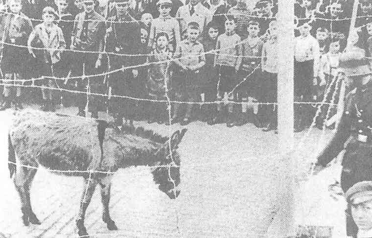 Иллюстрация к книге — CC – инквизиция Гитлера [i_014.jpg]