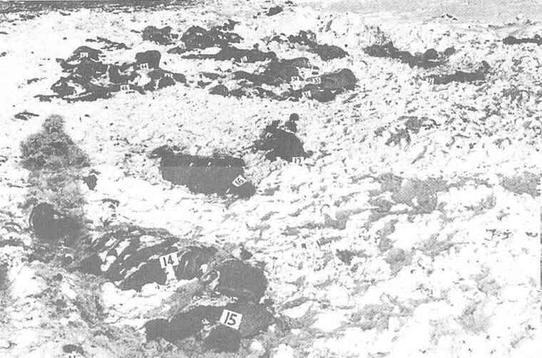 Иллюстрация к книге — CC – инквизиция Гитлера [i_081.jpg]