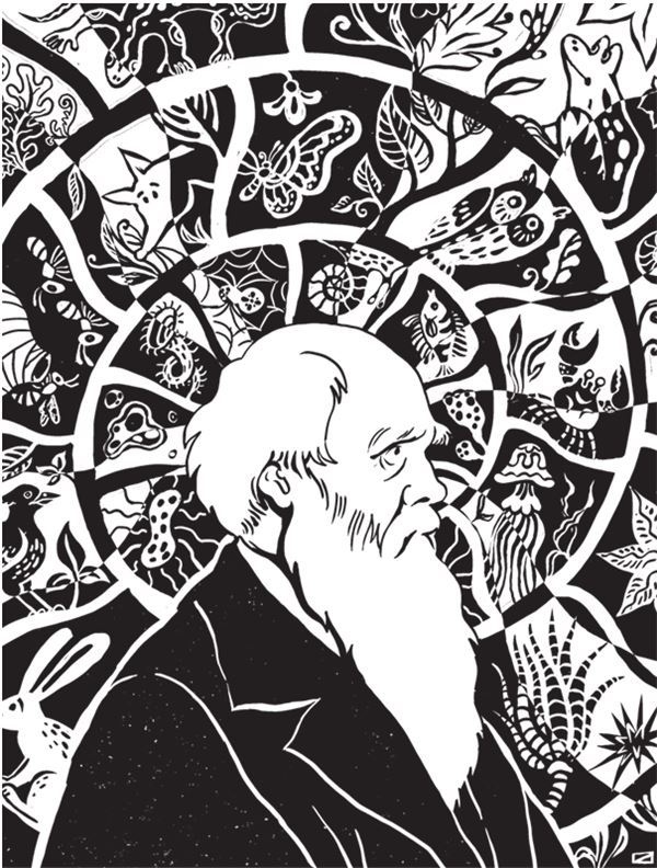 Иллюстрация к книге — Дарвинизм в XXI веке [i_001.jpg]