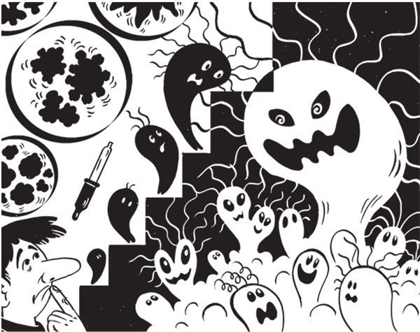 Иллюстрация к книге — Дарвинизм в XXI веке [i_008.jpg]