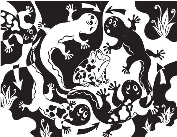 Иллюстрация к книге — Дарвинизм в XXI веке [i_020.jpg]