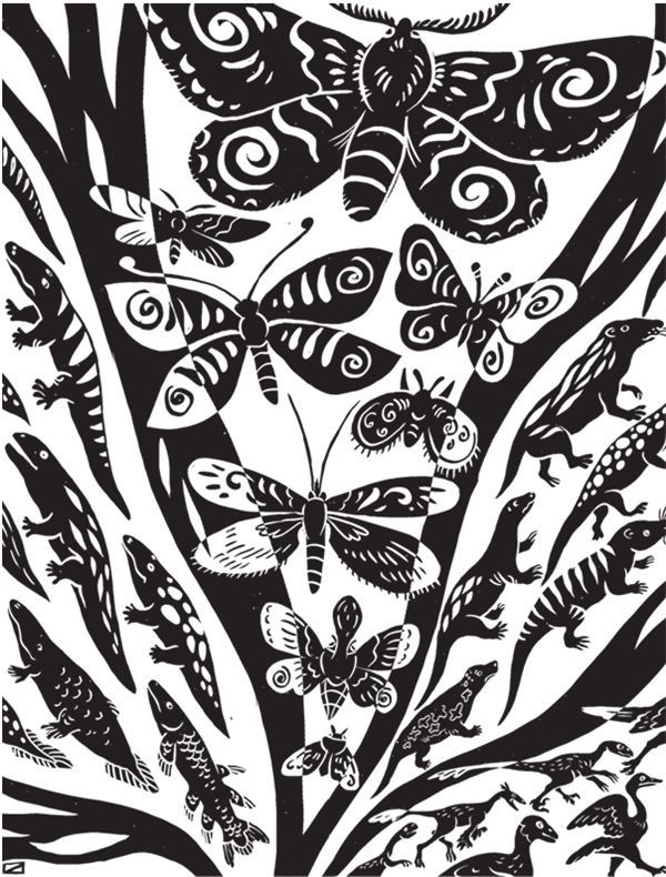 Иллюстрация к книге — Дарвинизм в XXI веке [i_022.jpg]