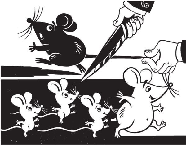 Иллюстрация к книге — Дарвинизм в XXI веке [i_030.jpg]