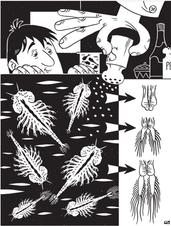 Иллюстрация к книге — Дарвинизм в XXI веке [i_032.jpg]