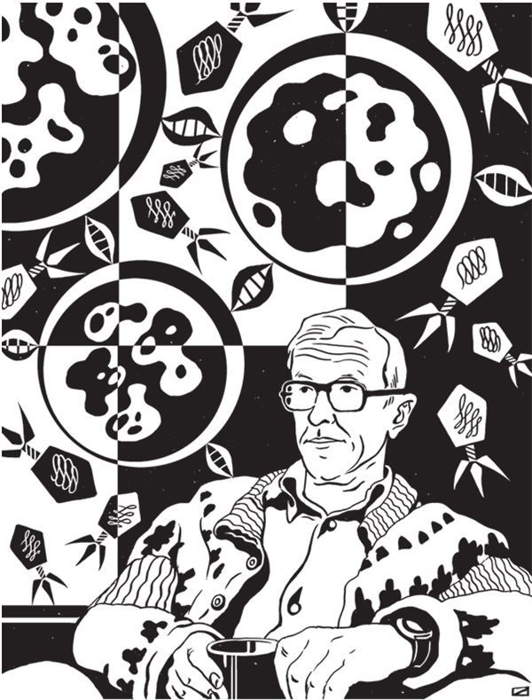 Иллюстрация к книге — Дарвинизм в XXI веке [i_034.jpg]