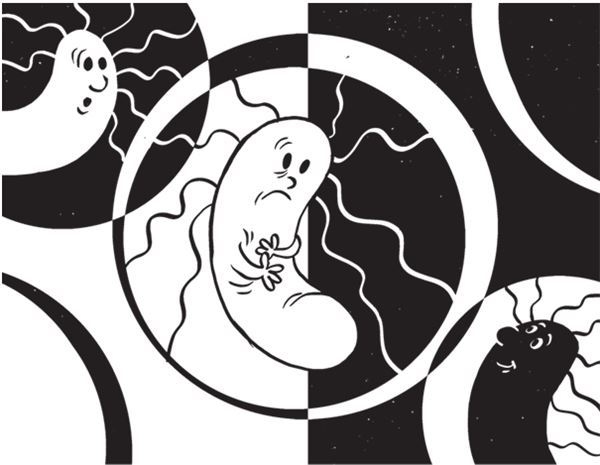 Иллюстрация к книге — Дарвинизм в XXI веке [i_038.jpg]