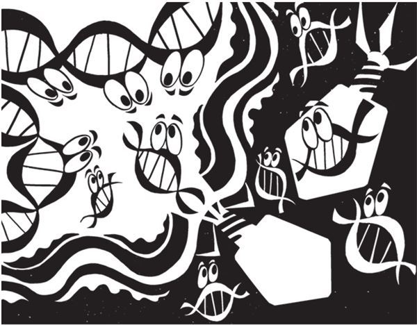 Иллюстрация к книге — Дарвинизм в XXI веке [i_039.jpg]